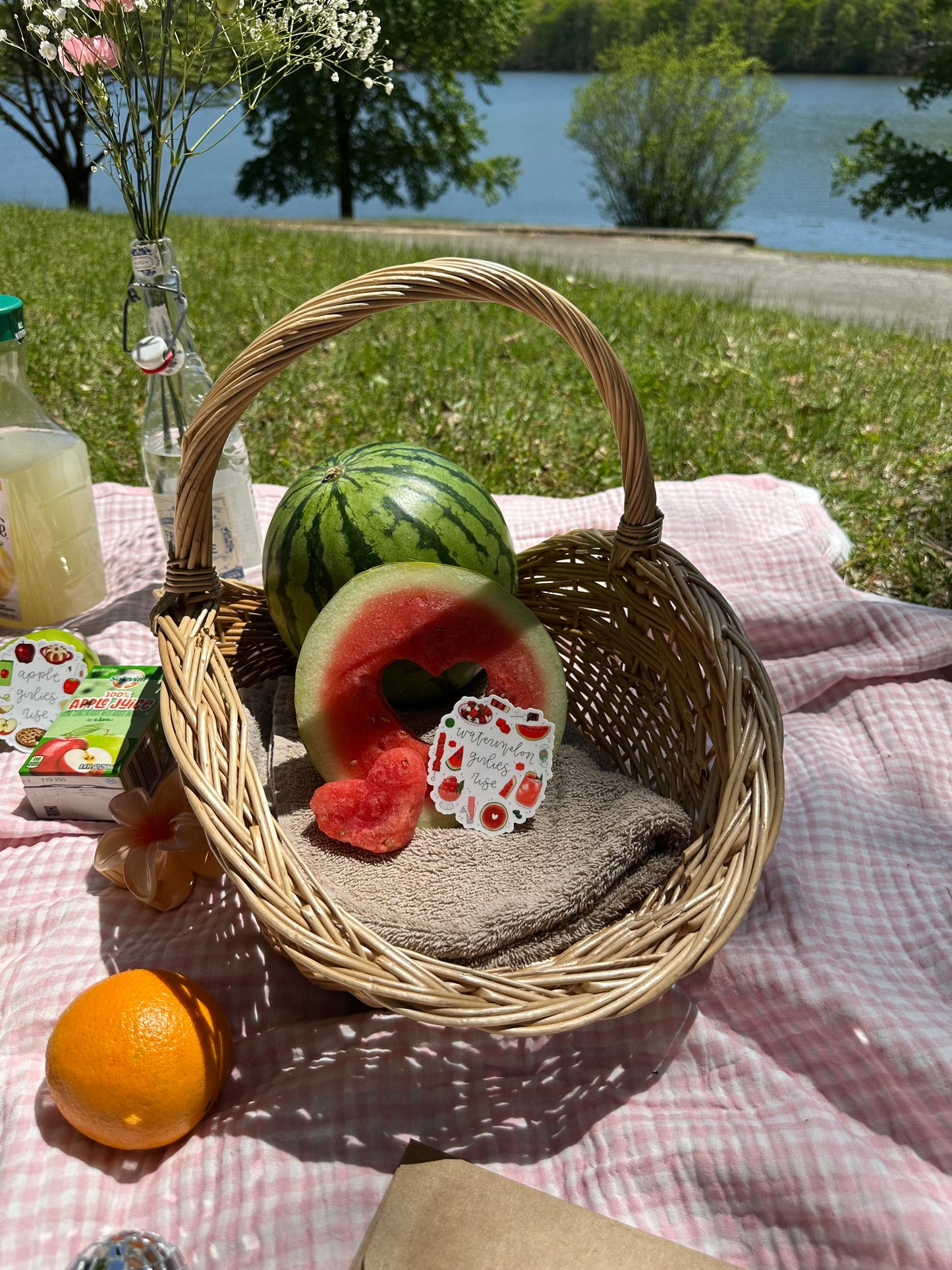 Watermelon Girlies Rise Sticker