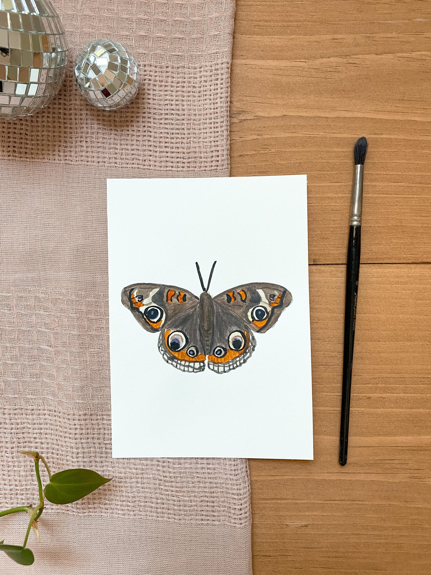 Buckeye Butterfly 5x7 Original Paintings