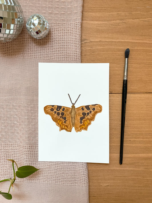 Comma Butterfly 5x7 Original Painting